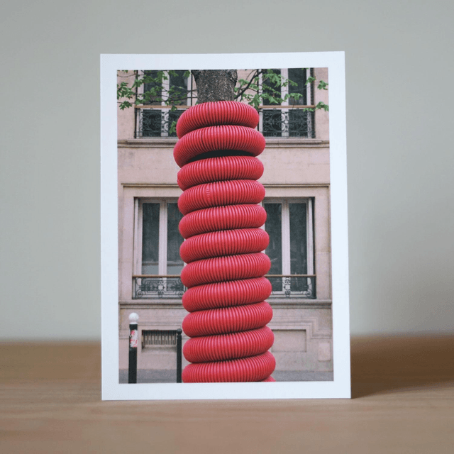 Photo Postcard Set