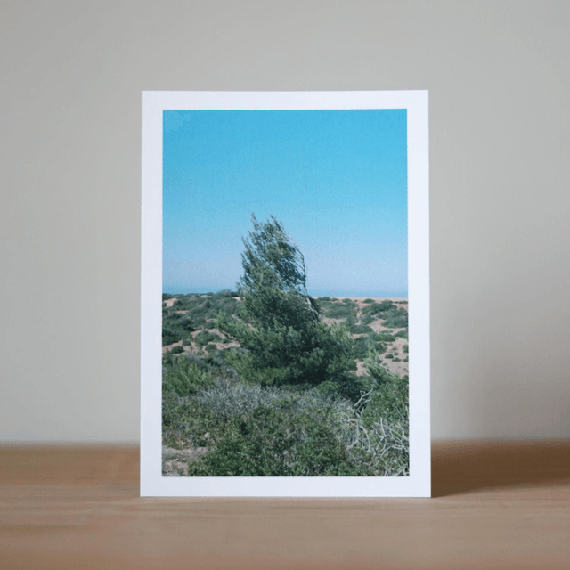 Photo Postcard Set