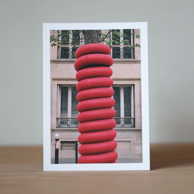 Photo Postcard 1